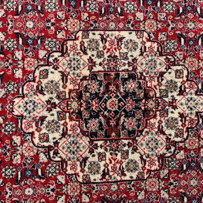 Exceptional 10-Border Oriental Rug Hand Loomed 48x74