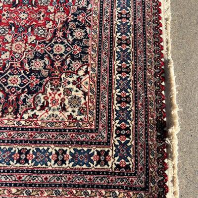 Exceptional 10-Border Oriental Rug Hand Loomed 48x74