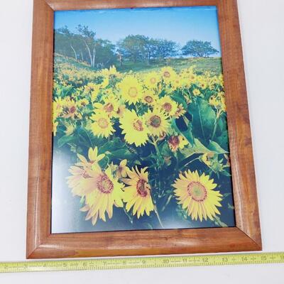 SUNFLOWER FRAMED PHOTOGRAPH