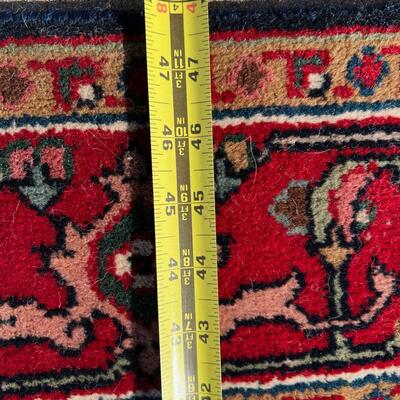 Exceptional Large Formal Area Rug Hand Woven! 48x72