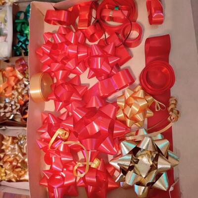 MAGNIFICENT MULTI COLORED BOWS COLLECTION
