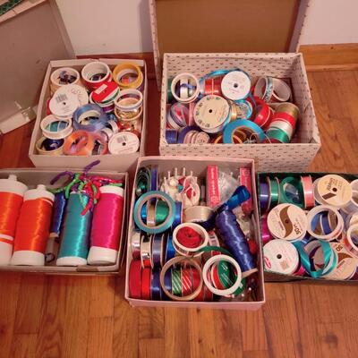 RADICAL RIBBON LARGE VARIETY LOT
