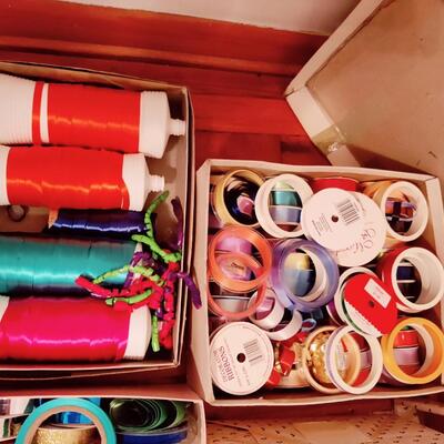 RADICAL RIBBON LARGE VARIETY LOT