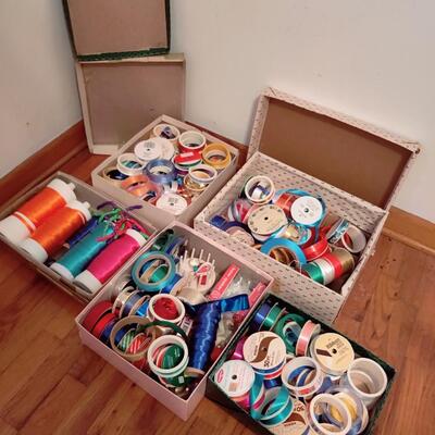 RADICAL RIBBON LARGE VARIETY LOT