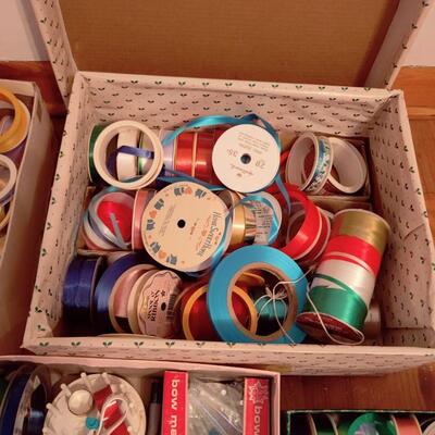 RADICAL RIBBON LARGE VARIETY LOT
