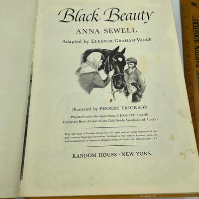 Black Beauty 1949