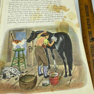 Black Beauty 1949