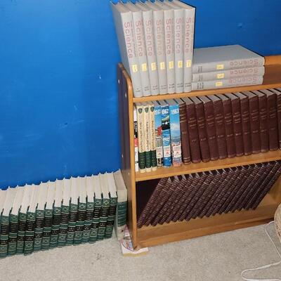 Large Book Lot includes Shelving