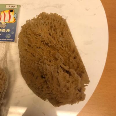 Lucite Painters Pallet & natural sponges