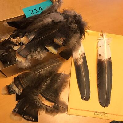 Box of Turkey Feathers & Other