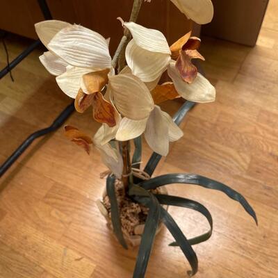 Cute Artificial Plant in Wood Planter