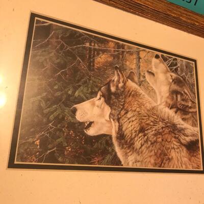 Native American & Wolf Picture