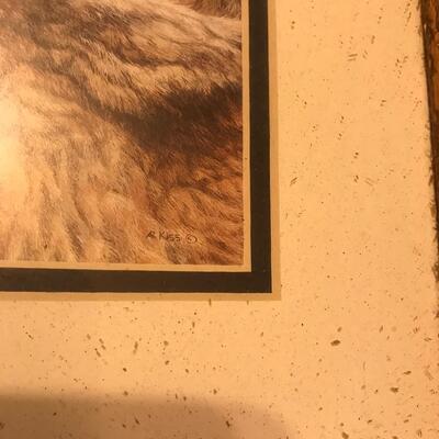 Native American & Wolf Picture