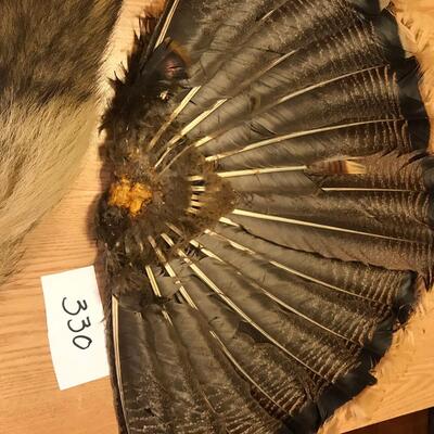 Wild Turkey Tail & Fur tail
