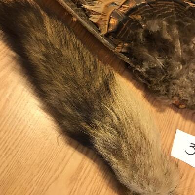 Wild Turkey Tail & Fur tail