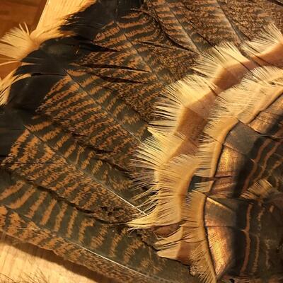 Wild Turkey Tail & Fur tail