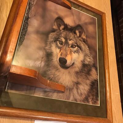 Wolf Picture with wall shelf