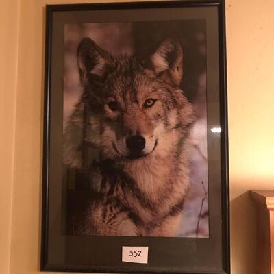 Wolf Poster Framed