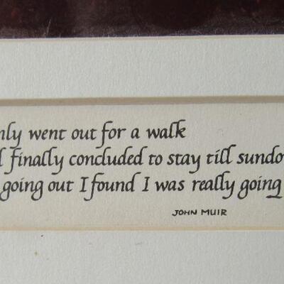 Photo and Saying From John Muir