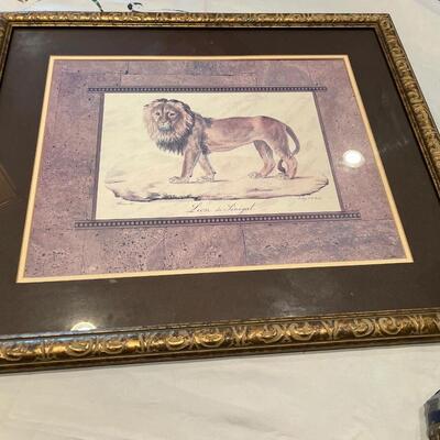 "Lion of Senegal"gorgeous frame,