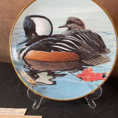 Lot 39 Duck Lot