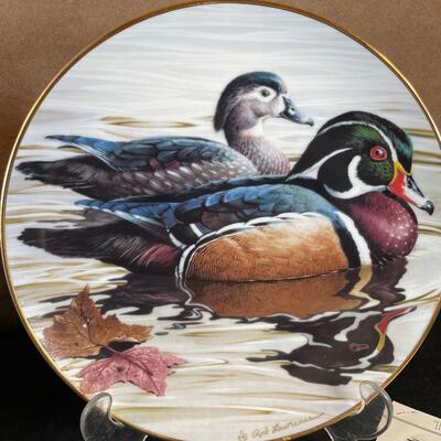 Lot 39 Duck Lot