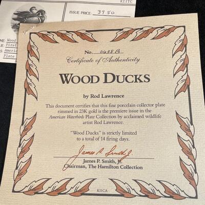 Lot 39 Duck Lot