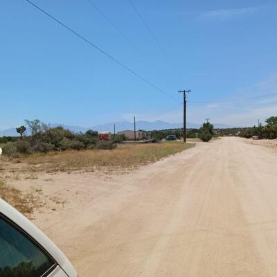 Vintage Couch.  Wood and fabric.