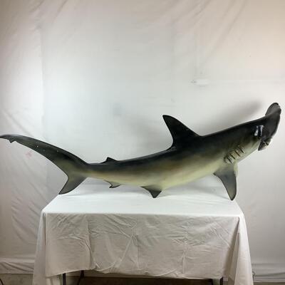 5063 Hammer Head Shark Wall Trophy by Len Guthrie, NJ