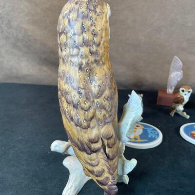 Lot 42. Owl Lot