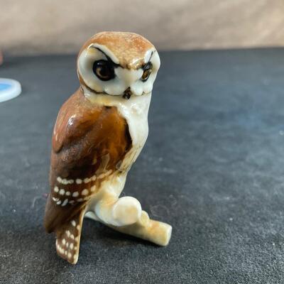 Lot 42. Owl Lot