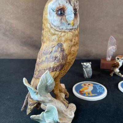 Lot 42. Owl Lot