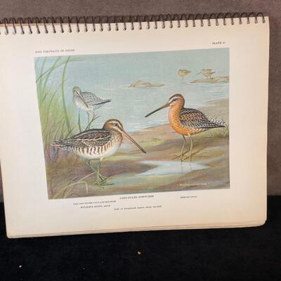 Lot 47.  Wood Quail Figure & Vintage Bird Book