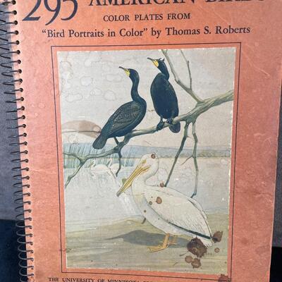 Lot 47.  Wood Quail Figure & Vintage Bird Book