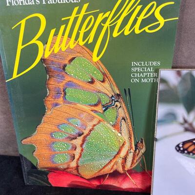 Lot 49. Butterfly Lot