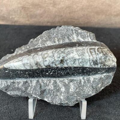 Lot 68  Three Rocks