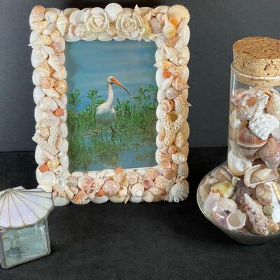 Lot 105  Shells--Picture Frame and Jar