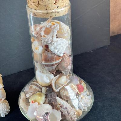 Lot 105  Shells--Picture Frame and Jar