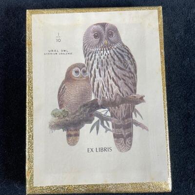 Lot 108. Owl Lot