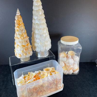 Lot 117. Craft Shells