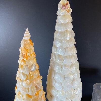 Lot 117. Craft Shells