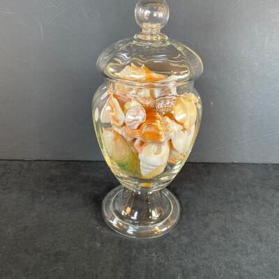 Lot 120. Glass Jar of Shells