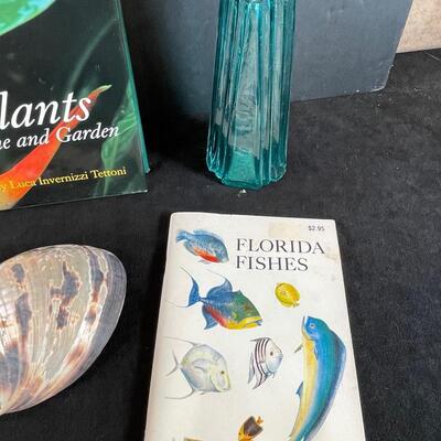 Lot 125. Tropical Lot