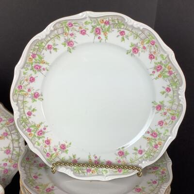 5125 86pc Set of AMCREST "Country Garden" Fine China