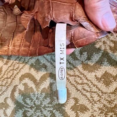 LARGE 11 foot Alligator Hide - tanned, responsibly tagged