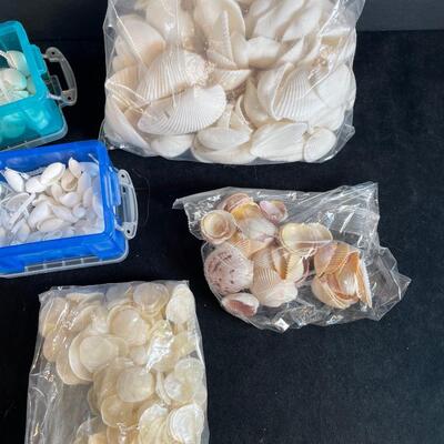 Lot 130  Craft Shells in Bags
