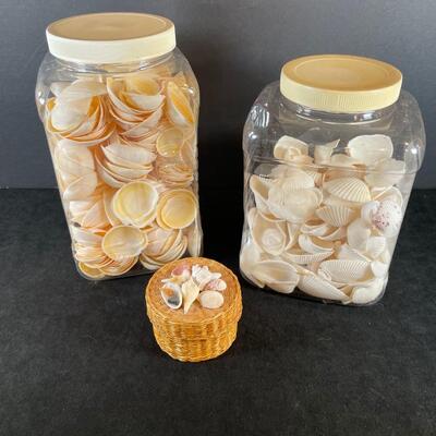 Loto 146  raft Shell Assortment