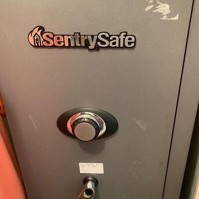Sentry Tall Safe
