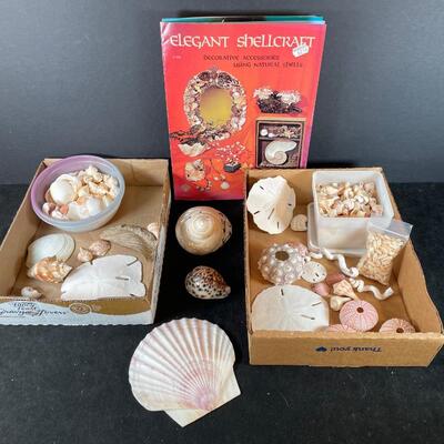 lot 154  Collection of Shells and Craft Book