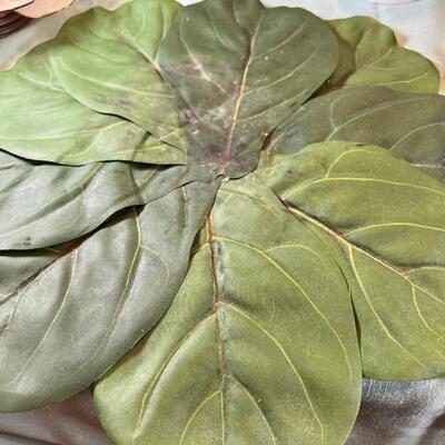 Ginko and Jade trees Oriental collectibles